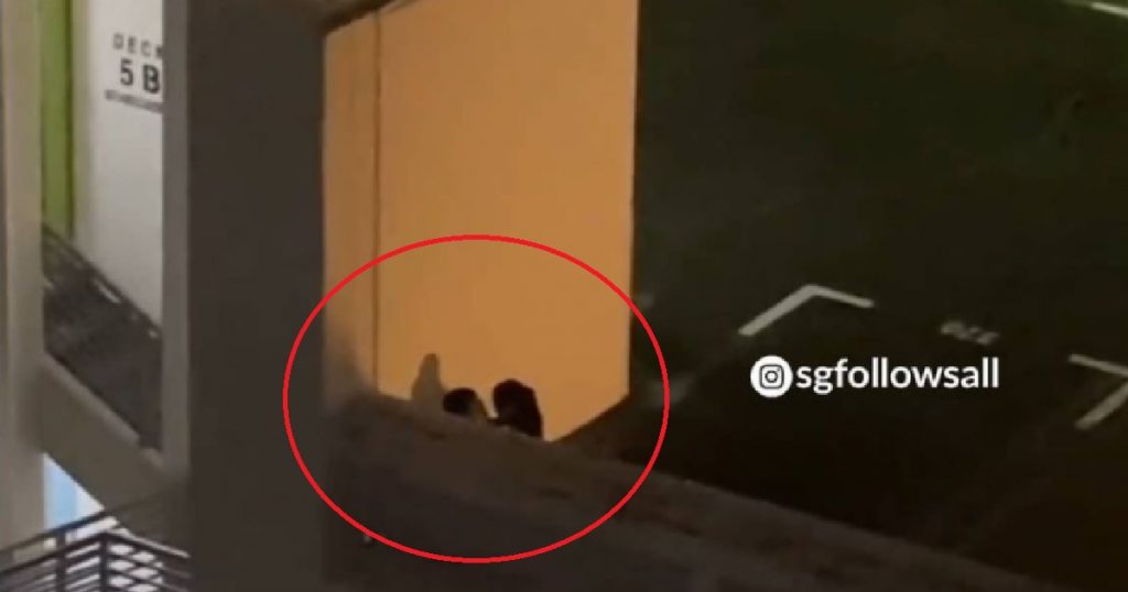 Xiao mei mei & yp caught on video making love at multi story carpark