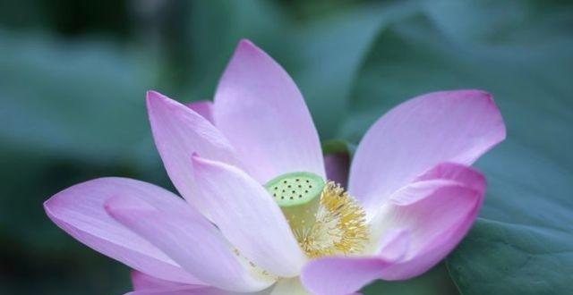 未来30天，财星入库，财运一路飙升，赚得小金库满满的4大生肖