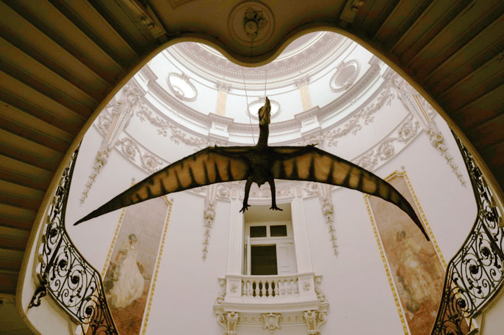 Research tracks how pterosaurs mastered the primaeval skies