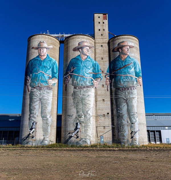 Australian artist paints huge water diviner on silos