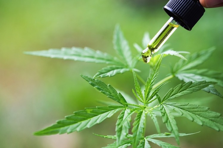 Flora Beauty signs CBD distribution deal in Latin America