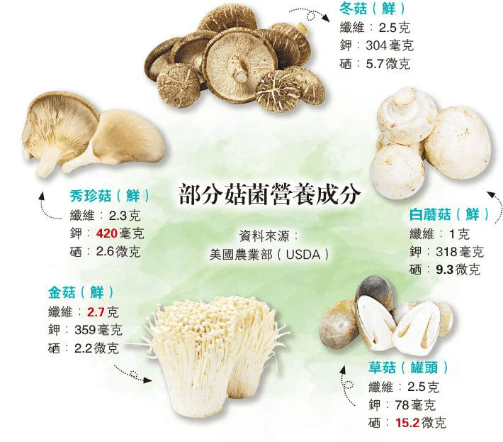 菇菌不毒 低卡高纤助减磅 痛风慎吃秀珍菇、乾冬菇