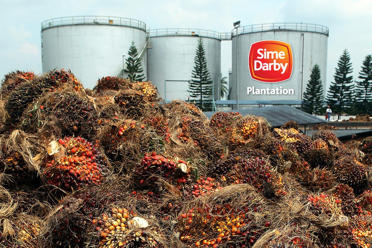 Sime Darby Plantation to develop two new biogas power plants with Cenergi