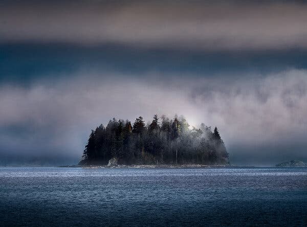 In Strange Times, Eerie Stories Confront the Unknown