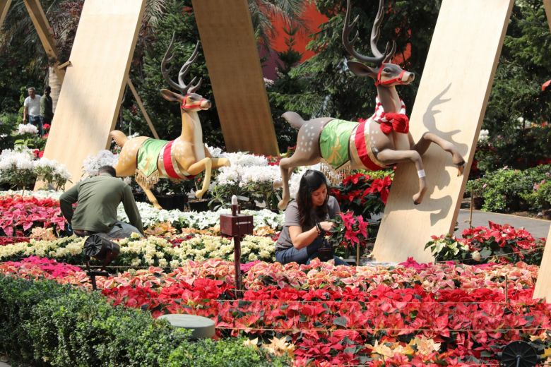 Modern take on classic Nordic designs and Europe at Gardens By The Bay