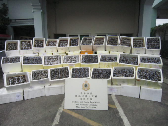 【歷来最大宗】海关检1.3万只走私大闸蟹 拘2男司机
