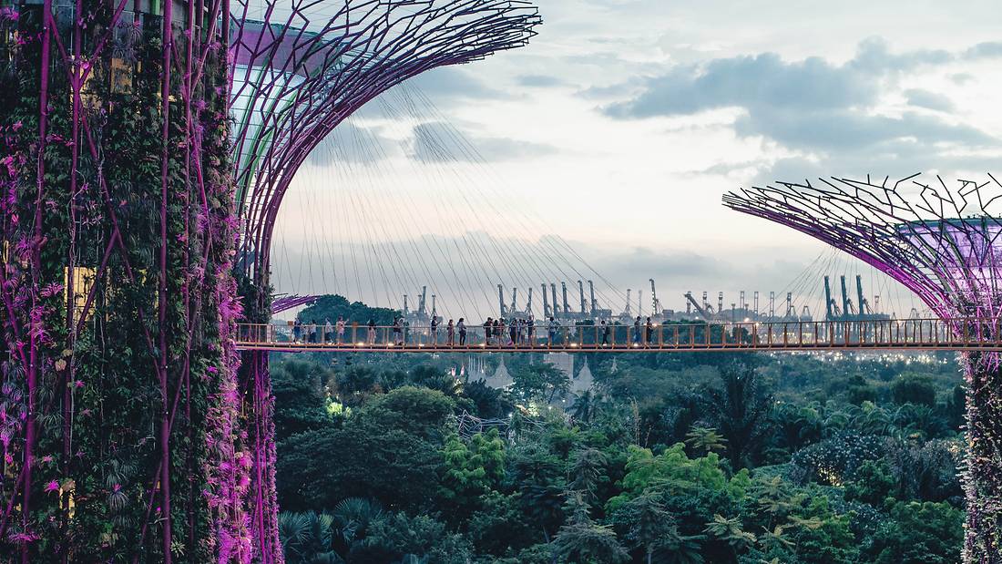 SingapoRediscovers Vouchers: A List Of Hotels, Attractions & Tours Where You Can Use Your $100 Vouchers