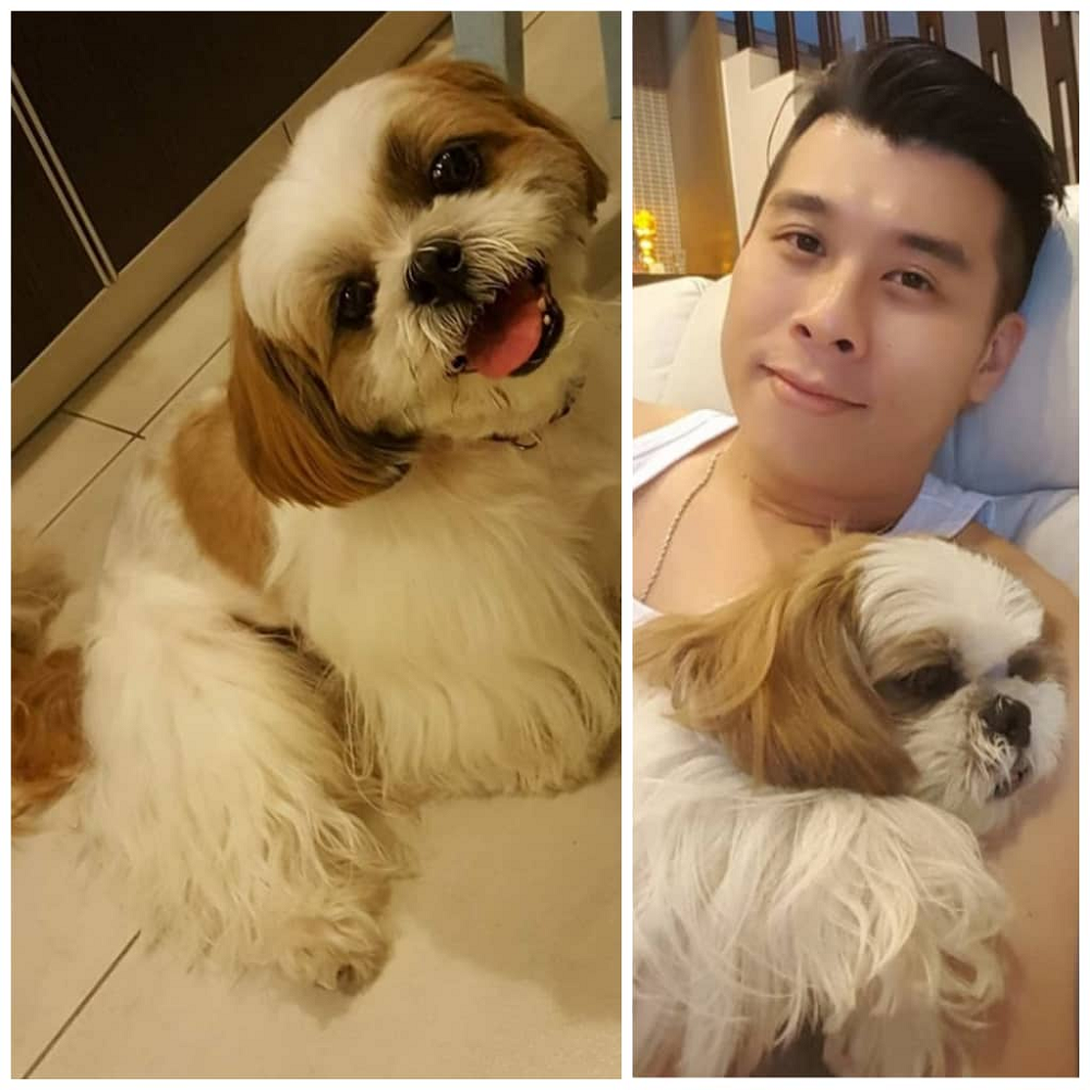 ‘Part of my family’: After two years, Perak police officer continues search for his missing dog (VIDEO)
