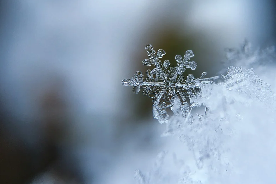 节气 | 小雪到，天气转凉，多吃些温补美食吧！