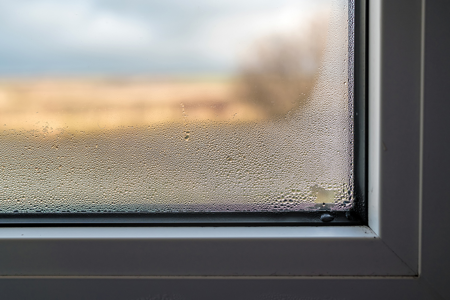 Cooled water vapor forms droplets containing hydrogen peroxide | Stanford News