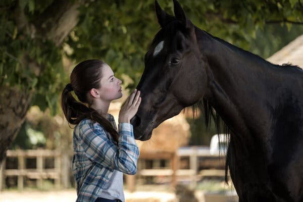 ‘Black Beauty’ Review: A Melodrama in Need of Rougher Edges