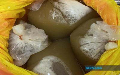 Cops cripple ketum ring, seizing 240kg of leaves and nabbing mastermind