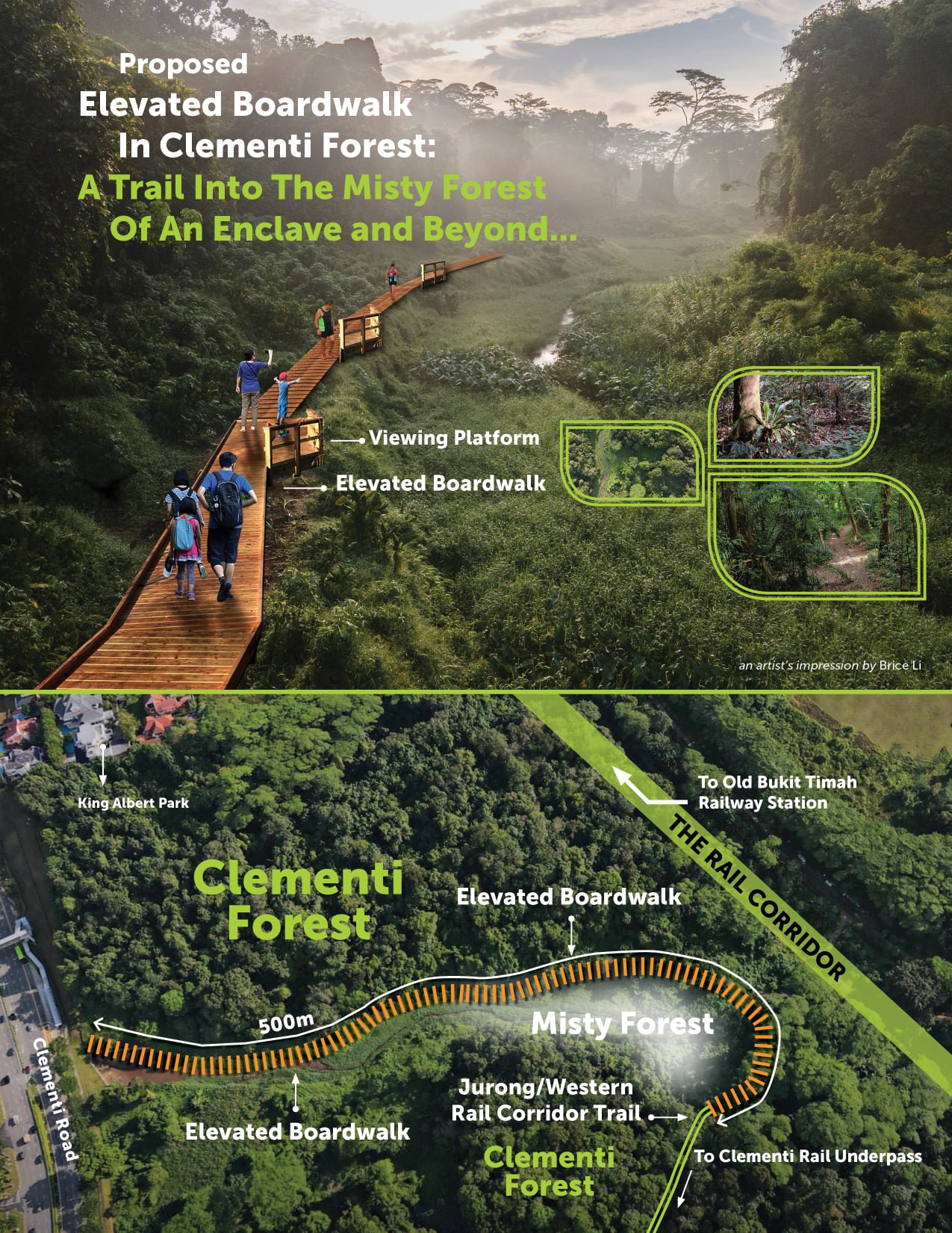 Clementi forest trail proposed by nature lover, with elevated boardwalk into heart of misty plain