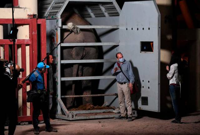 Cher welcomes ’world’s loneliest elephant’