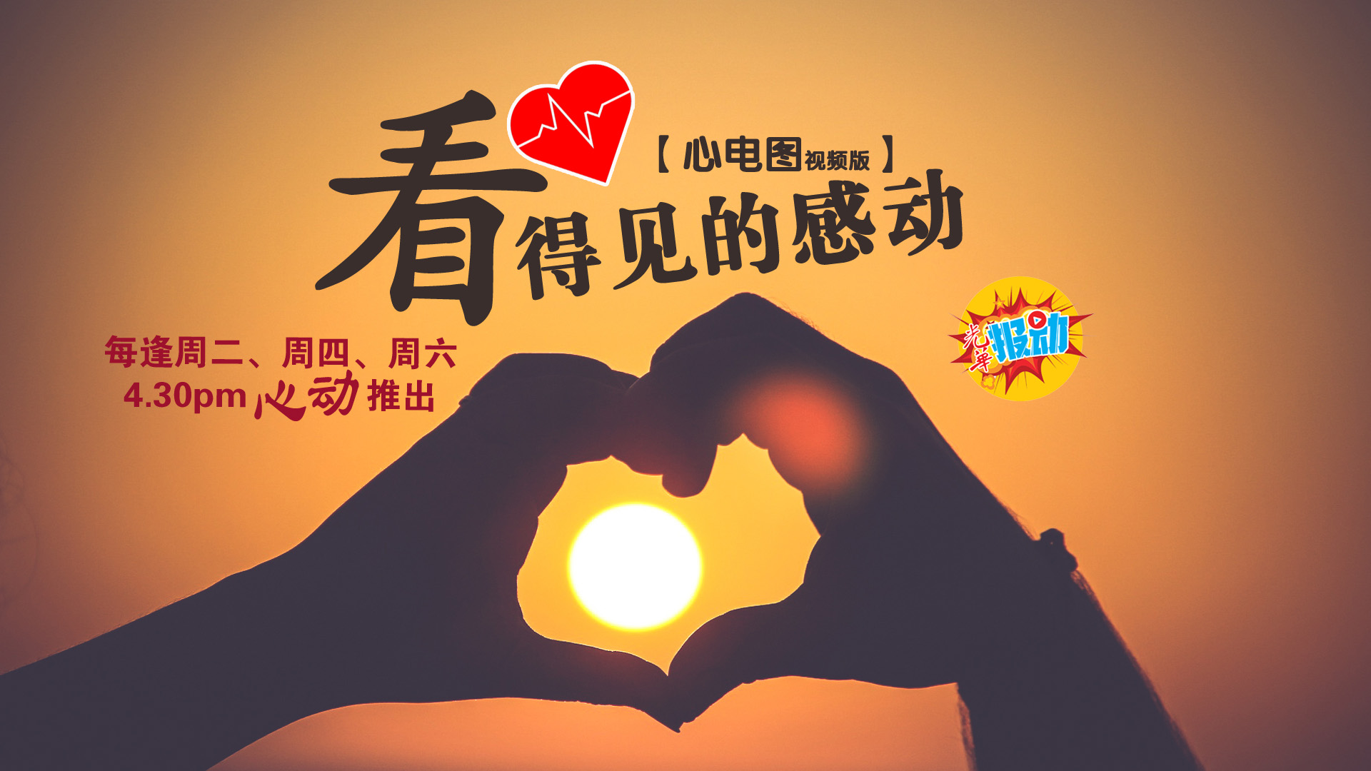 【心电图】用“爱”琴声陪你到最后