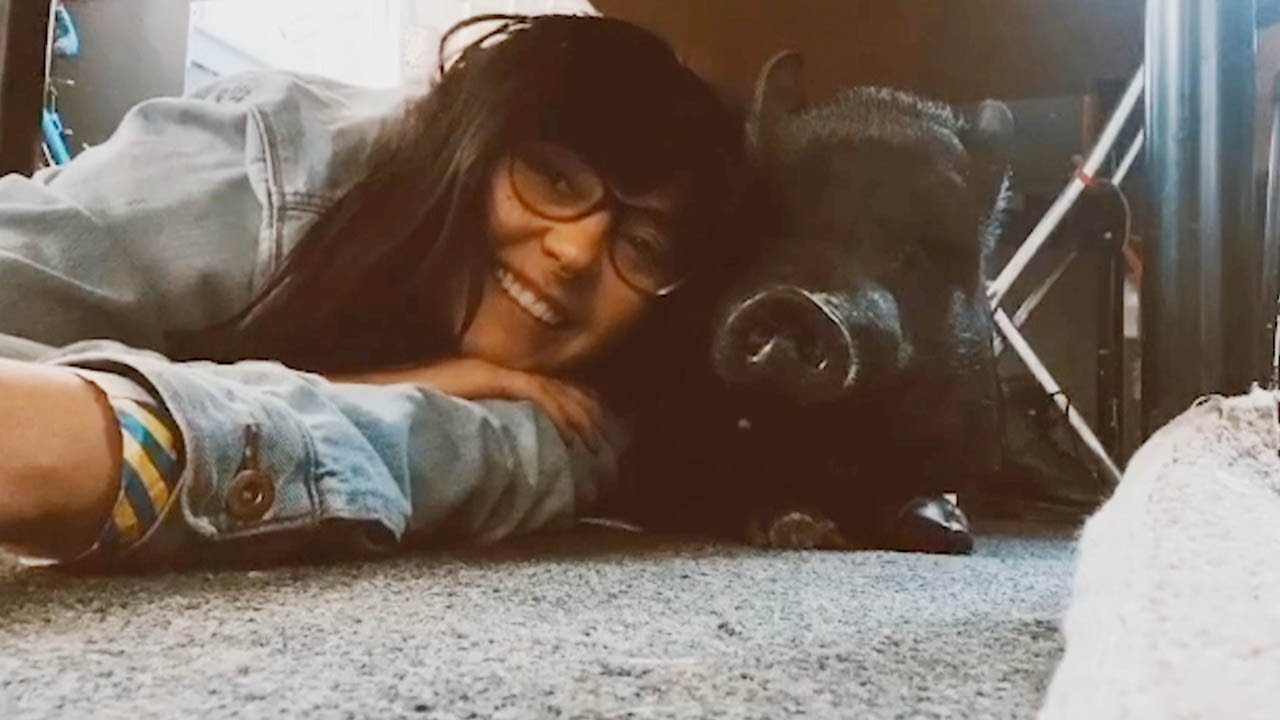 Woman Has Adorable Friendship With Her Pet Pig