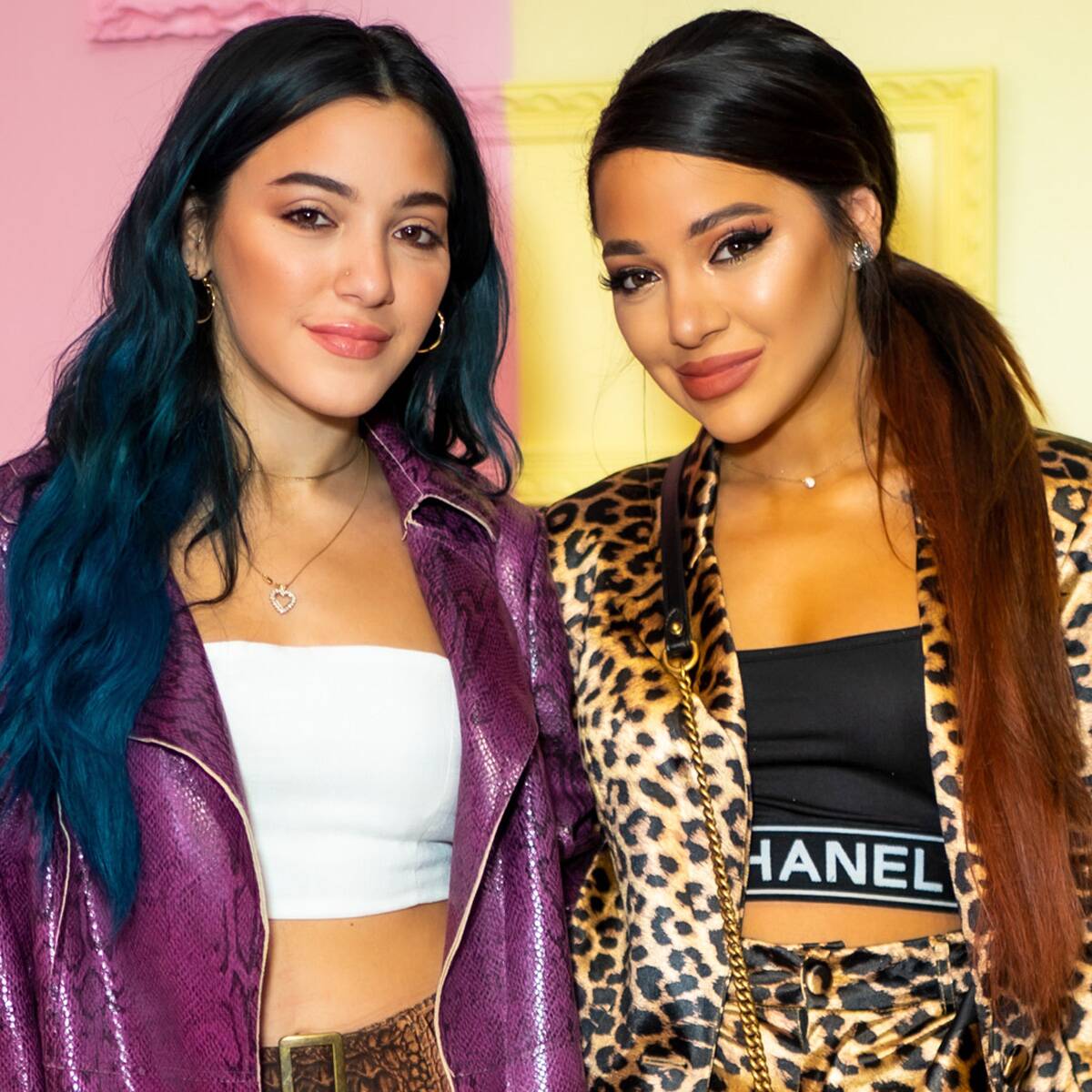YouTube Star Niki DeMartino Says She Is "Horrified" by Twin Sister Gabi's OnlyFans Scandal