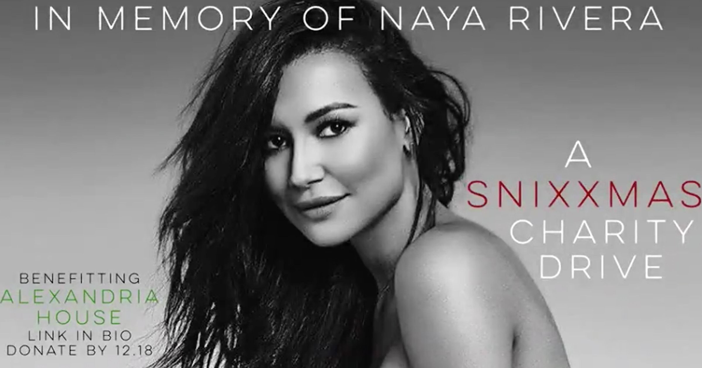 Glee cast launch Christmas charity fundraiser in Naya Rivera’s memory