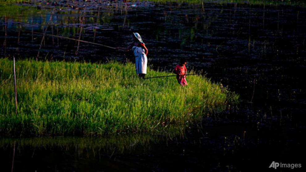 To ward off pandemic, India's indigenous tribes find remedies in forests
