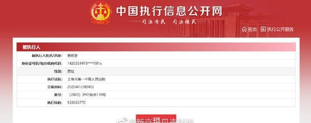 贾跃亭再成被执行人 执行标的约5.33亿元