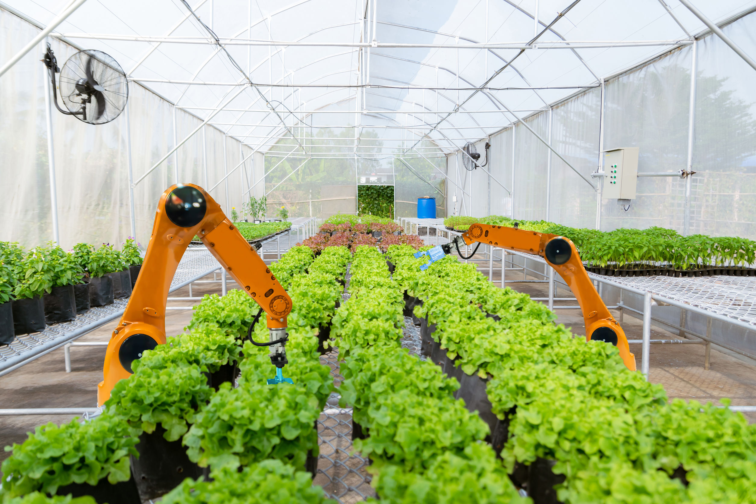Egreens launches $2.1m fund for early-stage agritech startups in India