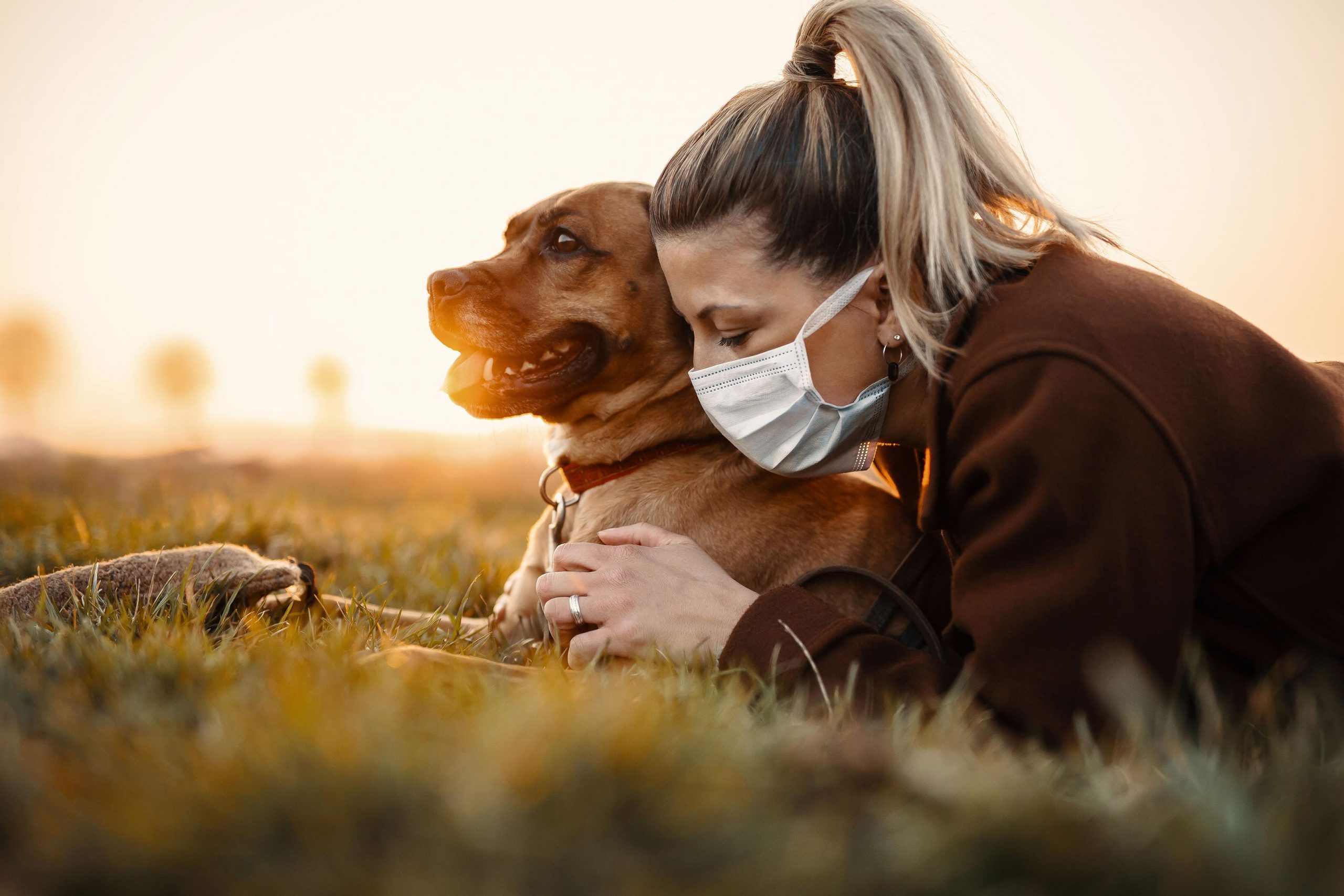 Scientists Look to Animals and Find Out What May Make Certain People More Vulnerable to COVID-19