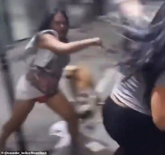 Bottom’s pup! Stray dog pulls down woman's leggings and exposes her rear as she brawls with a rival in the street