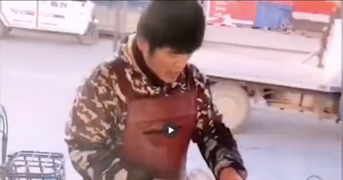 Jay Chou's doppelganger spotted making egg pancakes in China