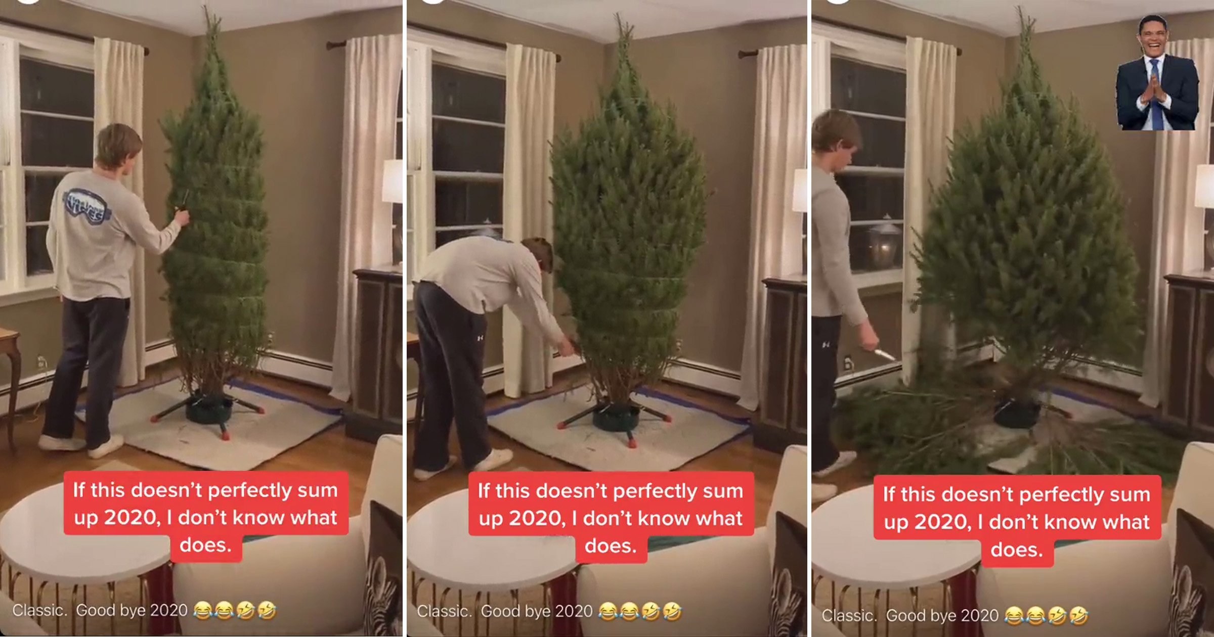 ‘World’s worst’ Christmas tree falls apart instantly and ‘sums up 2020’