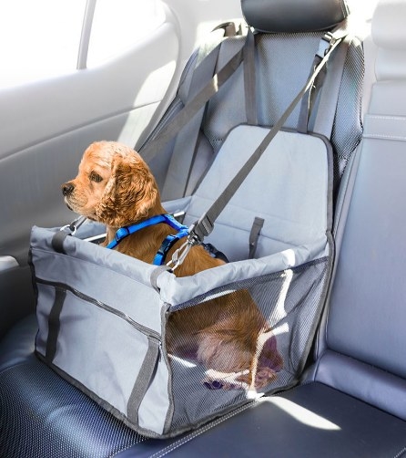 31 Game-Changing Pet Buys That Are Worth Every Penny