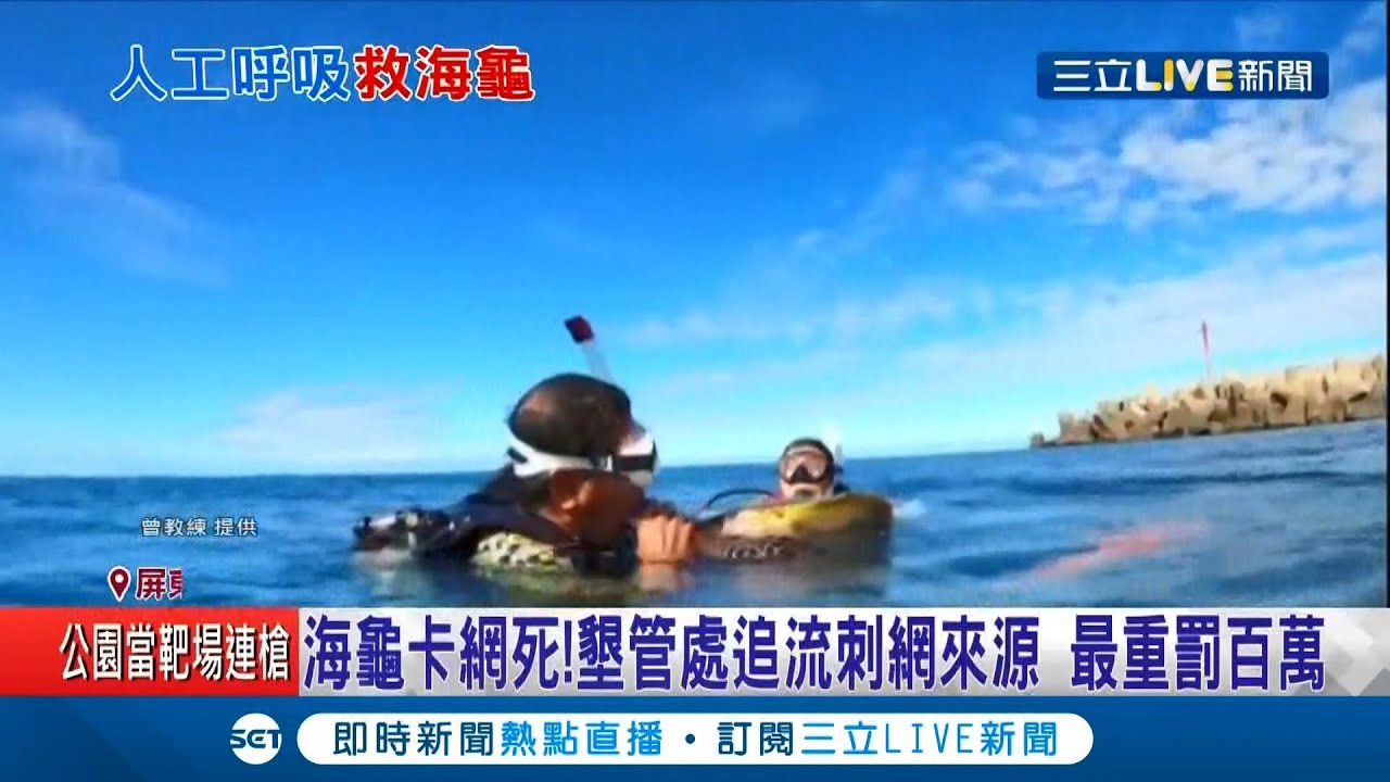 英雄救"龟"！ 屏东潜水教练出团发现受困的玳瑁海龟  二话不说施行5分钟的"人工呼吸"   垦管处追流刺网来源  最重可罚百万│记者 朱俊杰 朱怡蓉│【萌宠54来当家】20201213│三立新闻台