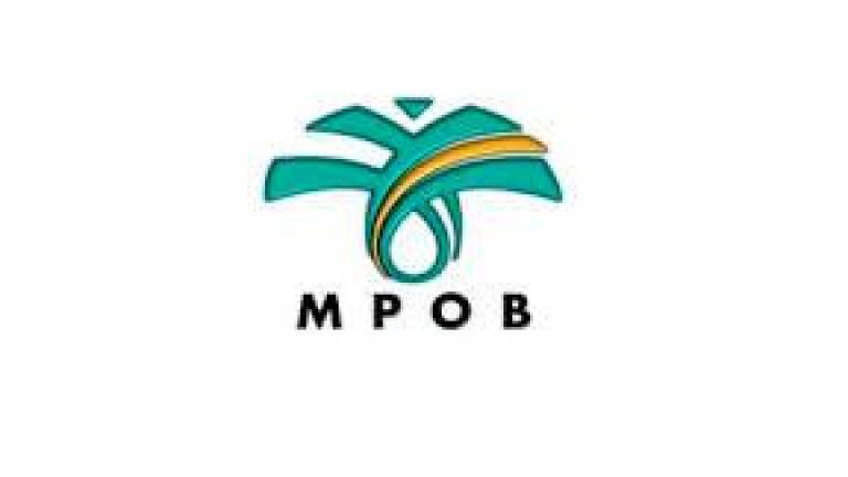 Govt may earn palm oil windfall profit levy of over RM500 mln in 2021 - MPOB
