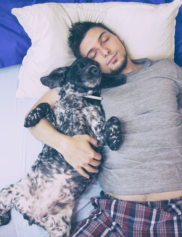Letting your dog sleep in your bed is actually good for you, according to experts