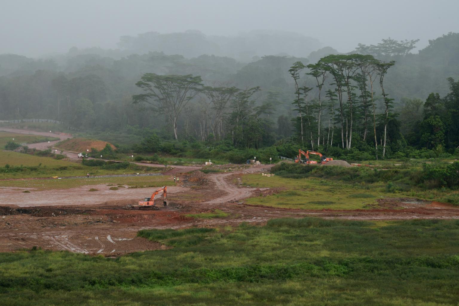 Part of Tengah forest corridor to be cleared for viaducts, but will be replanted: LTA