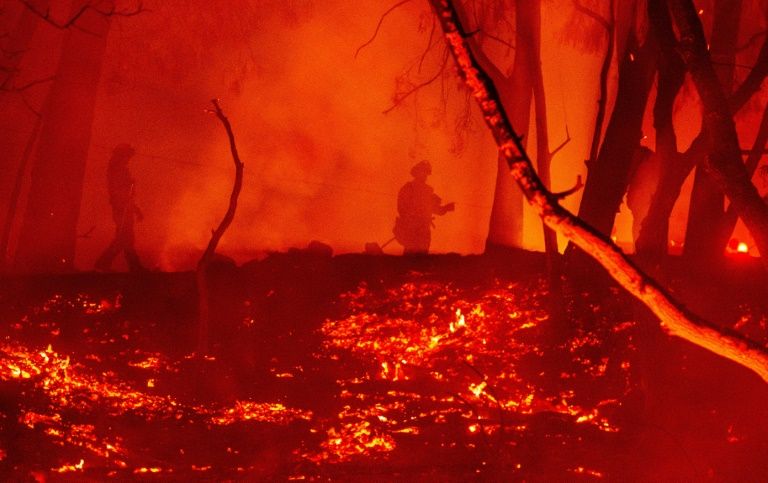 Below-average fires in 2020 despite monster blazes: eu
