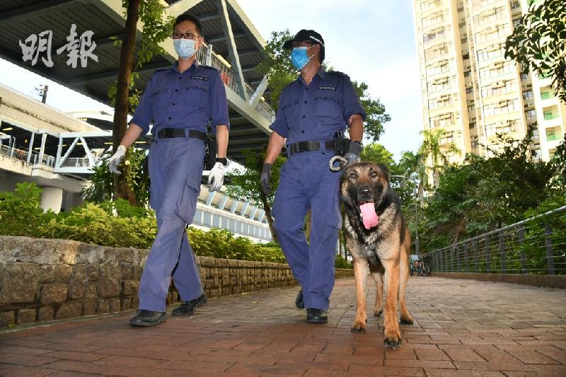 领犬员确诊冠病 警犬也检测阳性