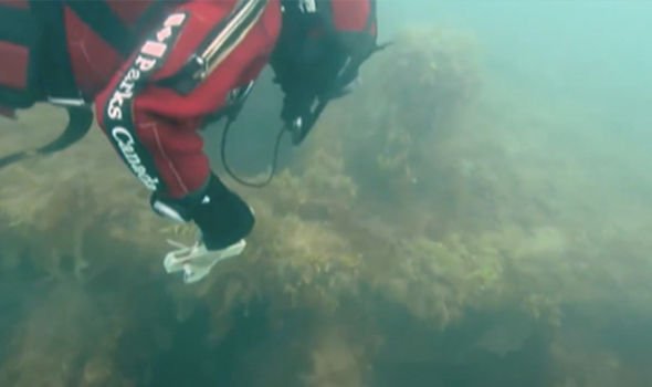 Archaeology breakthrough: Shipwreck 'mystery' after discovery in 'Arctic wasteland'