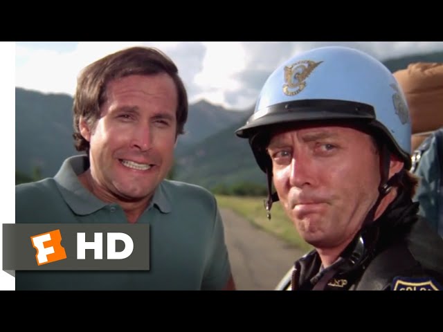 National Lampoon's Vacation (1983) - Tough Little Mutt Scene (4/10) | Movieclips