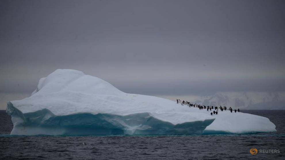 Antarctica rocked by 30,000 tremors in three months, Chilean scientists say