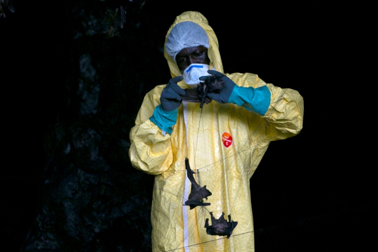 Virus hunters delve Gabon caves in search of next threat