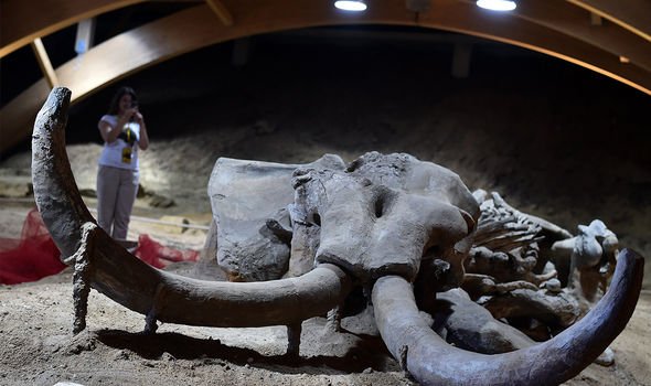 Archaeology: Researchers found battle-torn Roman shipwreck 'which can be rebuilt'