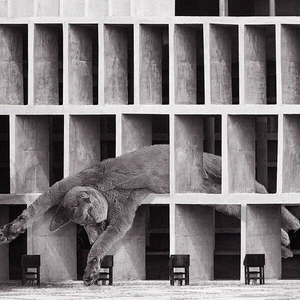 5 Art Accounts to Follow on Instagram Now