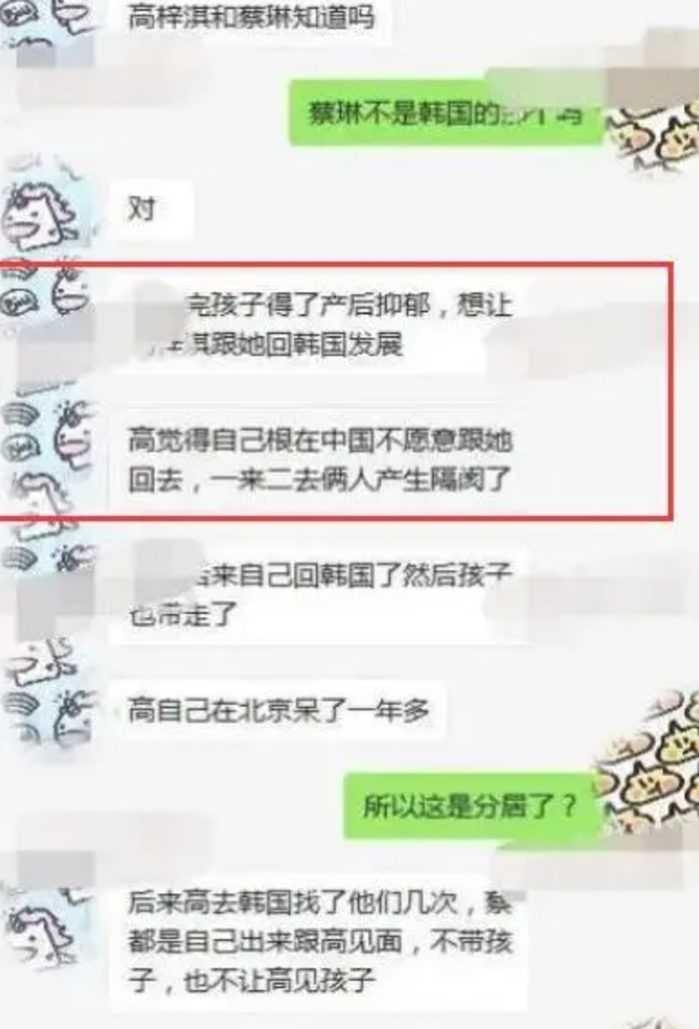 网曝蔡琳高梓淇离婚内幕：女方患上产后抑郁症