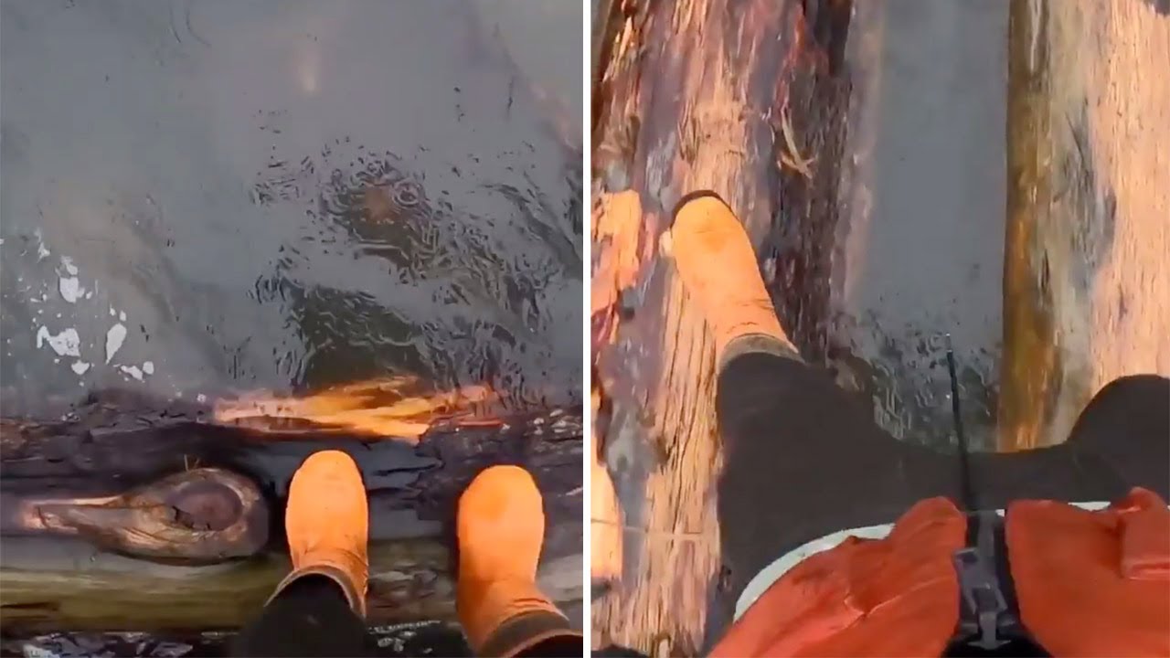 Lacrosse Player Expertly Runs On Floating Logs In River