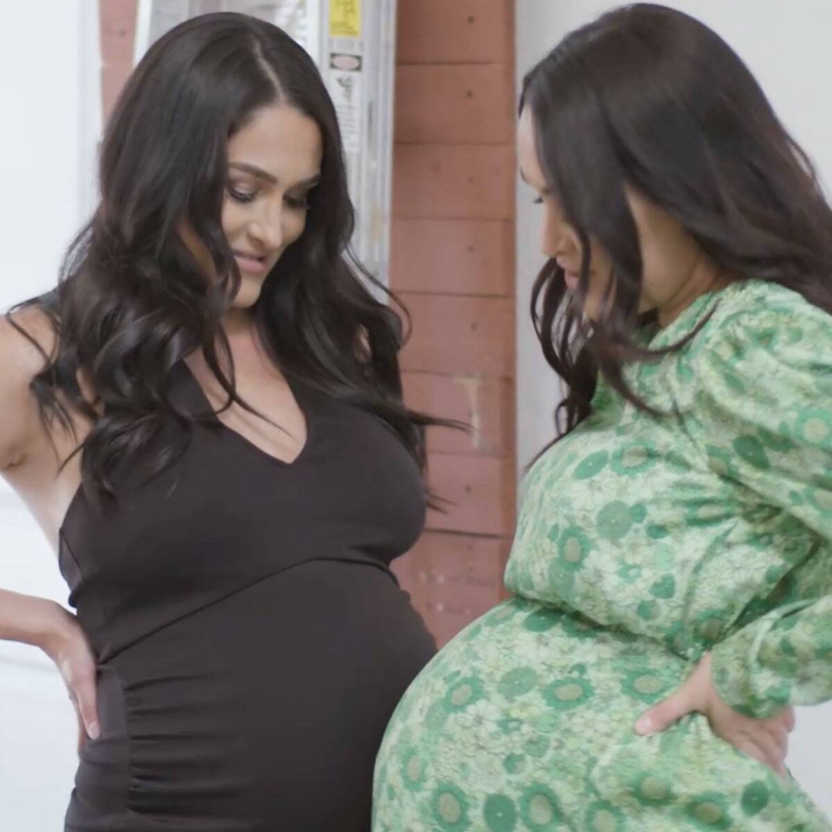 Go Behind-the-Scenes of Brie and Nikki Bella's Nude Maternity Shoot