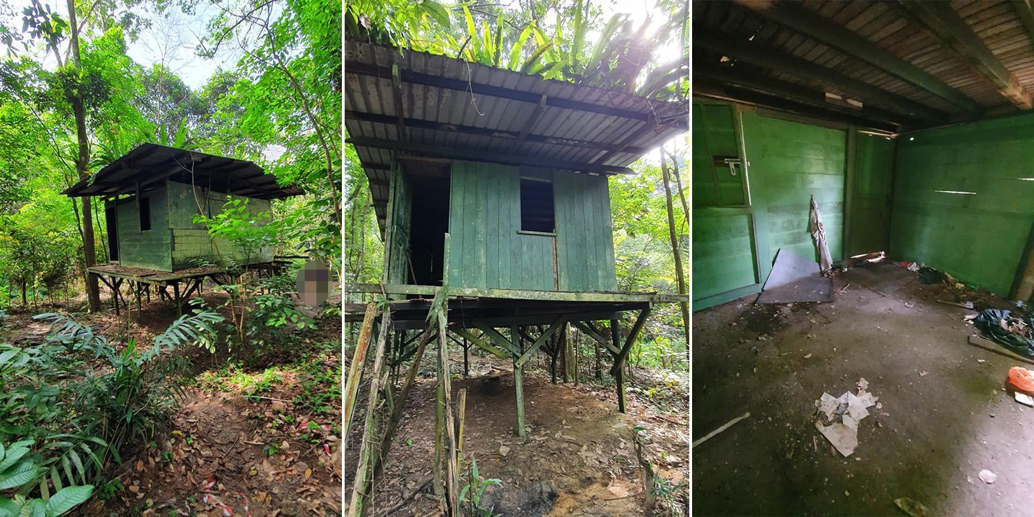 Chestnut nature park has an abandoned kampung relic where hikers can reminisce about the old days