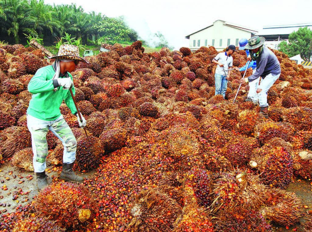 FGV assists 1,084 migrant workers to return home