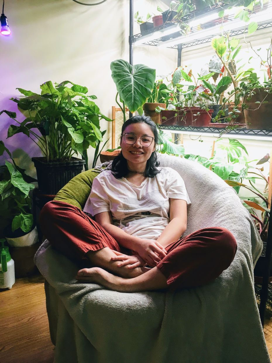 ‘Plantdemic’ hits Filipinos as lockdowns give them more time to focus on gardening