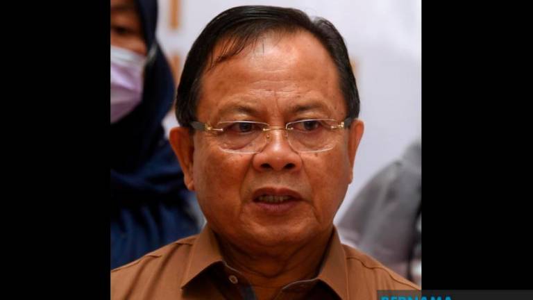 Ahmad Hamzah not to contest in GE15