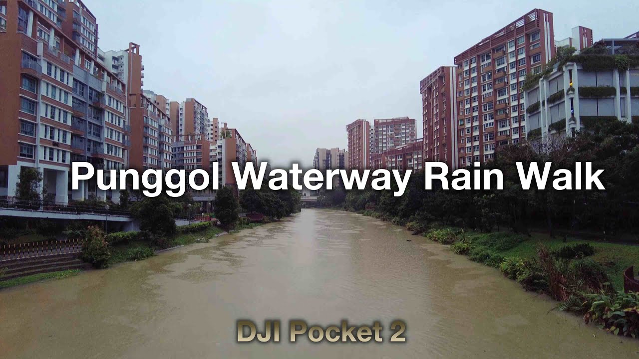 Punggol Waterway Singapore Rain Walk (DJI Pocket 2 & Binaural Audio)